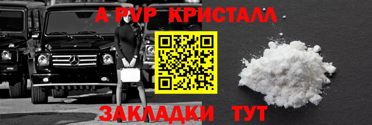 Альфа ПВП СК Кириши