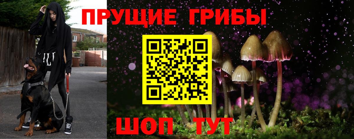 Кириши  Псилоцибиновые грибы мухоморы  Вход с VPN 